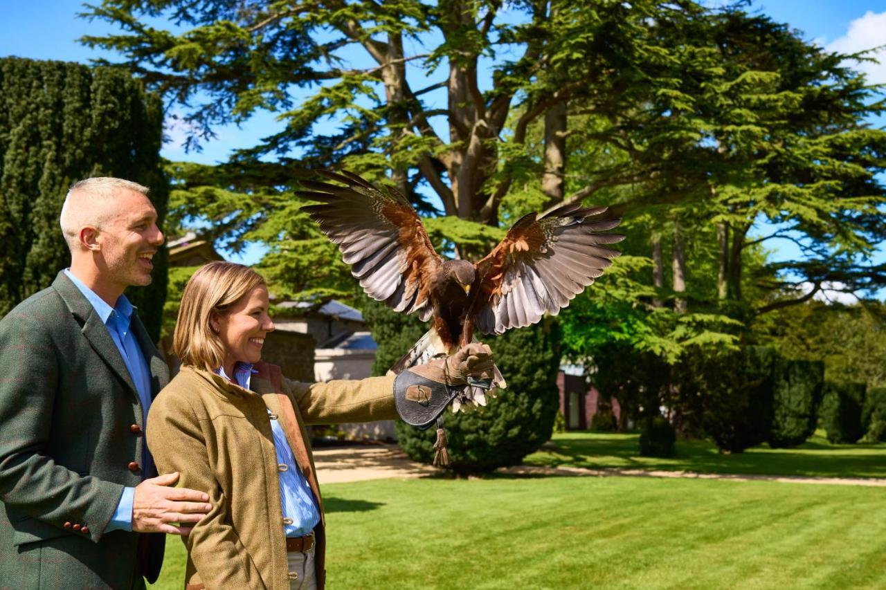 מיינות' Carton House A Fairmont Managed Hotel מראה חיצוני תמונה Visitors at the Hawk Conservancy Trust