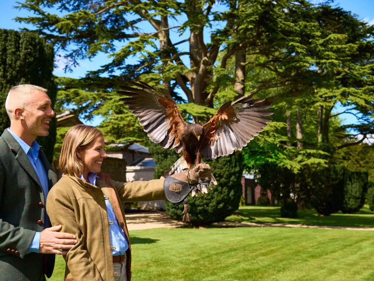 מיינות' Carton House A Fairmont Managed Hotel מראה חיצוני תמונה Falconry at the London Zoo