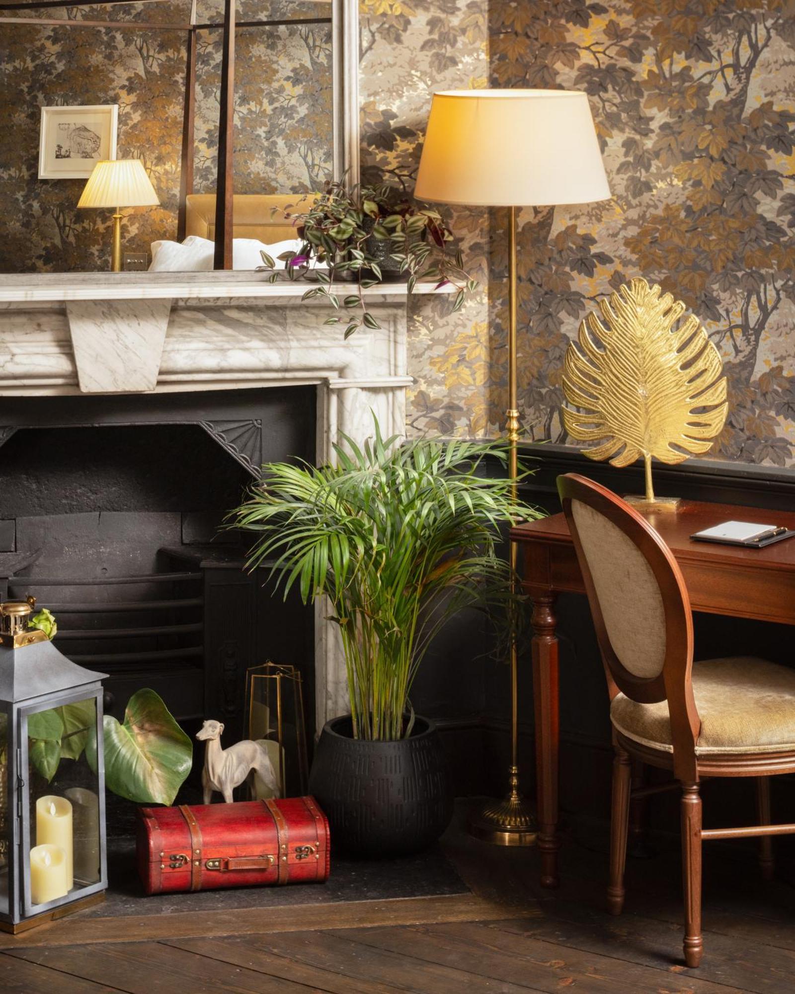 מיינות' Carton House A Fairmont Managed Hotel מראה חיצוני תמונה A houseplant